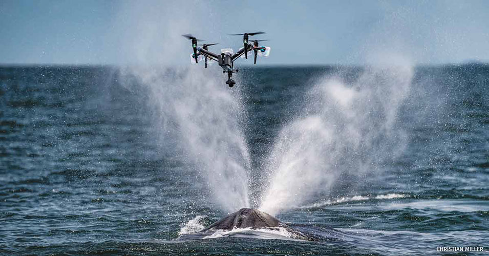 Drone Recreational Videography