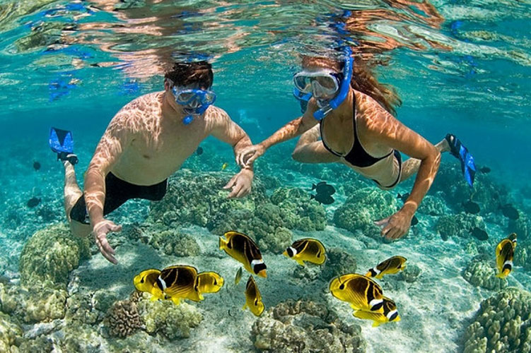 Snorkeling Gear Rentals